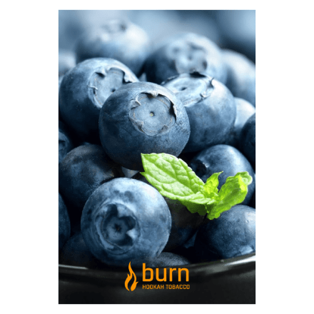Табак Burn - Blueberry Mint (Черника с Мятой, 100 грамм) купить в Тольятти