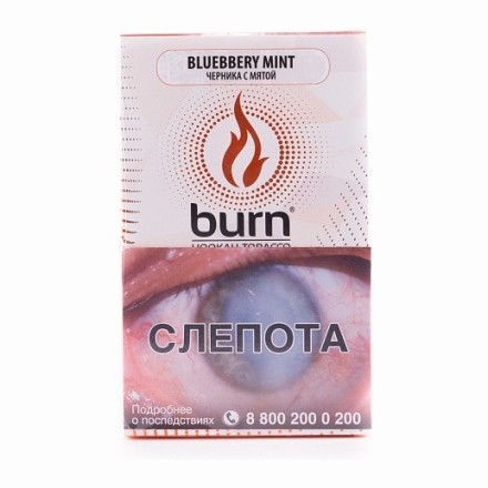Табак Burn - Blueberry Mint (Черника с Мятой, 100 грамм) купить в Тольятти