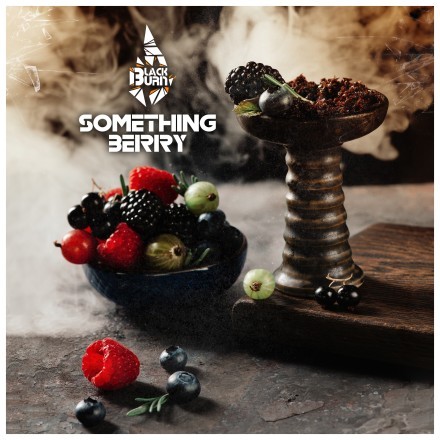 Табак BlackBurn - Something Berry (Что-то Ягодное, 100 грамм) купить в Тольятти