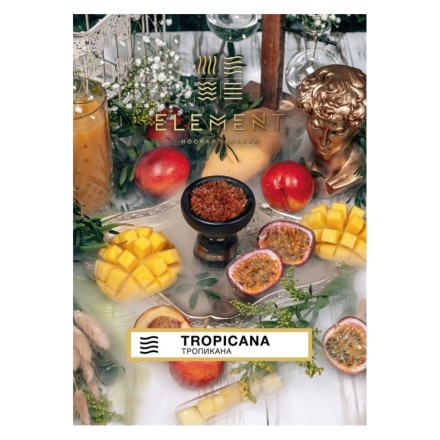 Табак Element Земля - Tropicana NEW (Тропикана, 25 грамм) купить в Тольятти