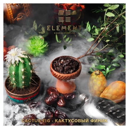 Табак Element Вода - Cactus Fig (Кактусовый финик, 100 грамм) купить в Тольятти