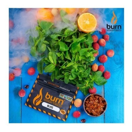 Табак Burn - Bliss (Личи с Мятой, 25 грамм) купить в Тольятти