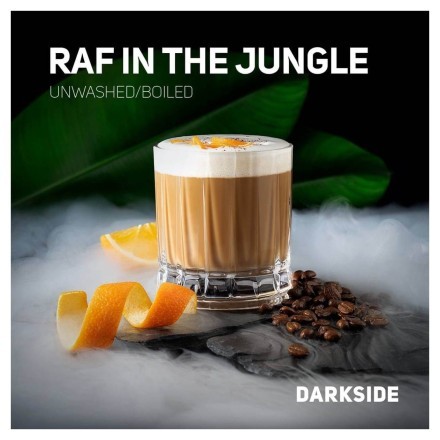 Табак DarkSide Core - RAF IN THE JUNGLE (Апельсиновый Раф, 100 грамм) купить в Тольятти