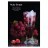 Табак Must Have - Ruby Grape (Рубиновый Виноград, 125 грамм) купить в Тольятти