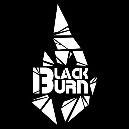 Табак BlackBurn - Red Currant (Красная Смородина, 100 грамм) купить в Тольятти