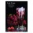 Табак Must Have - Ruby Grape (Рубиновый Виноград, 25 грамм) купить в Тольятти